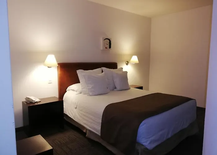 Apartamento Teca Once